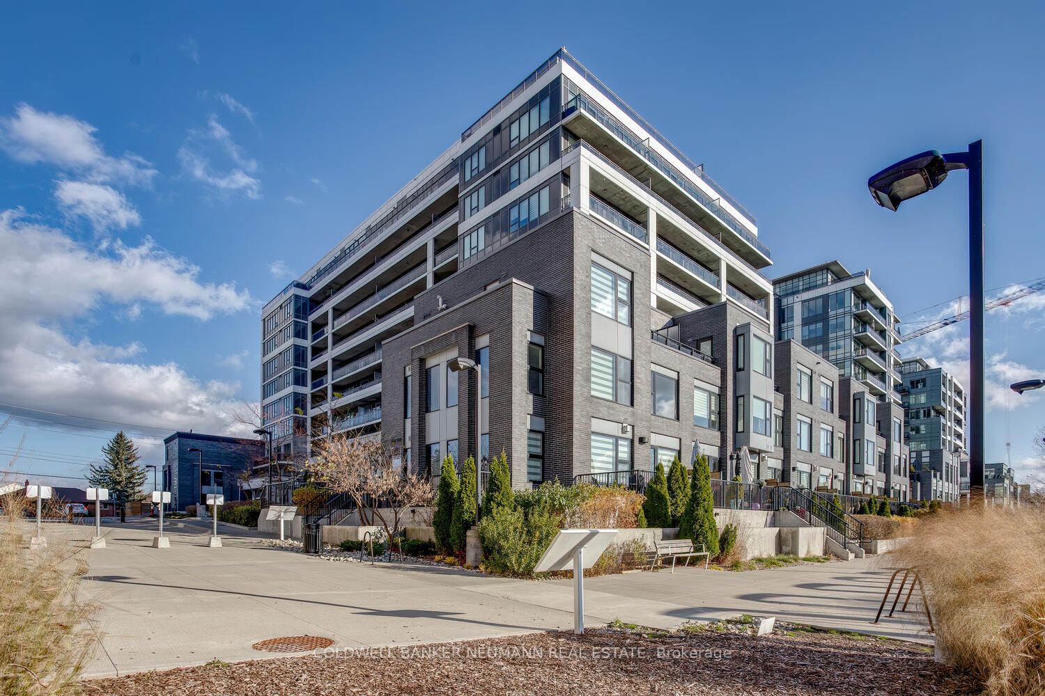 53 Arthur St S, #504