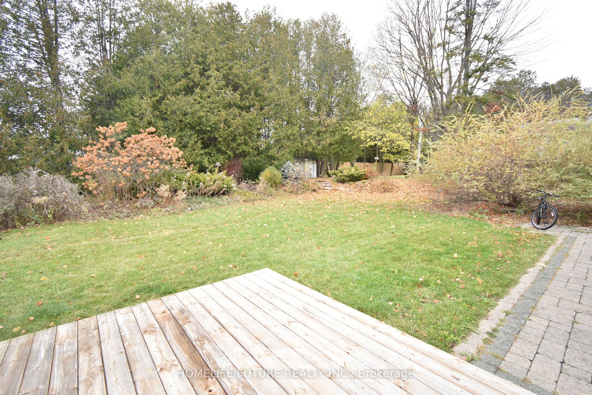 111 Wallis Dr