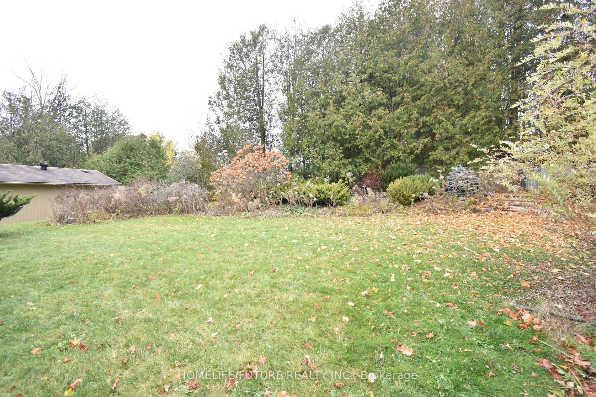 111 Wallis Dr