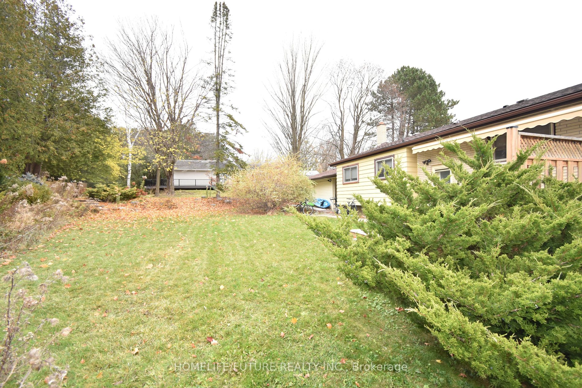 111 Wallis Dr