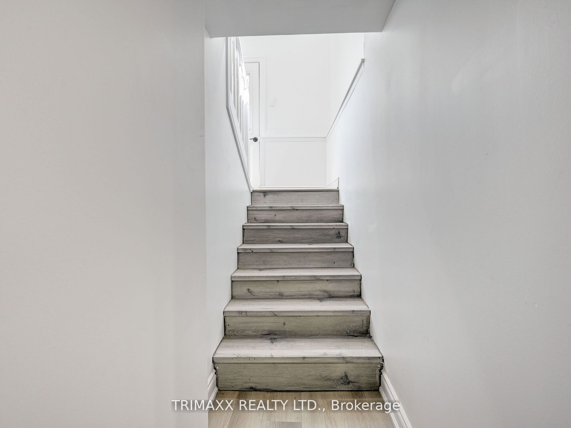 54 Haig St