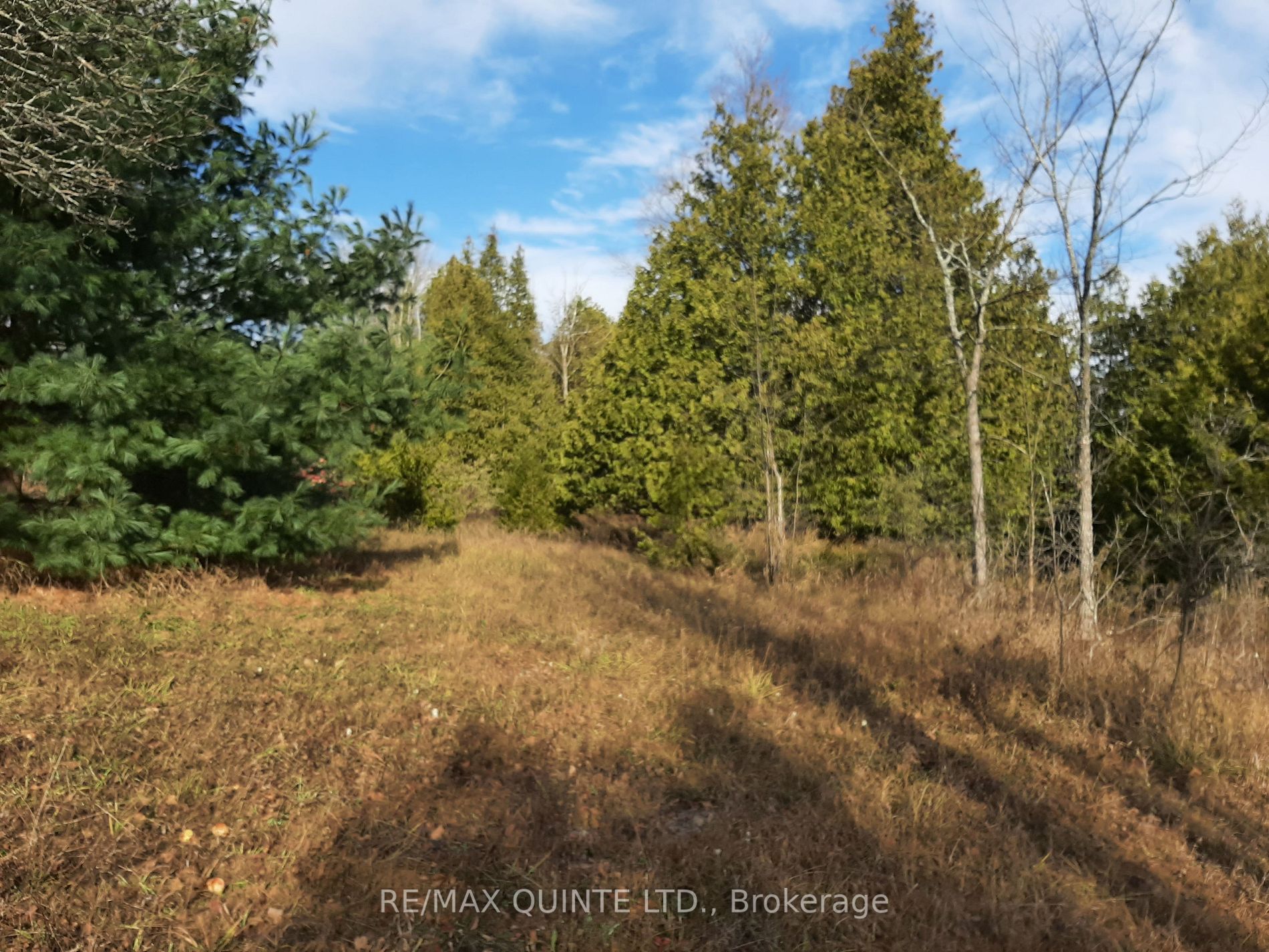 1532 O'hara Rd