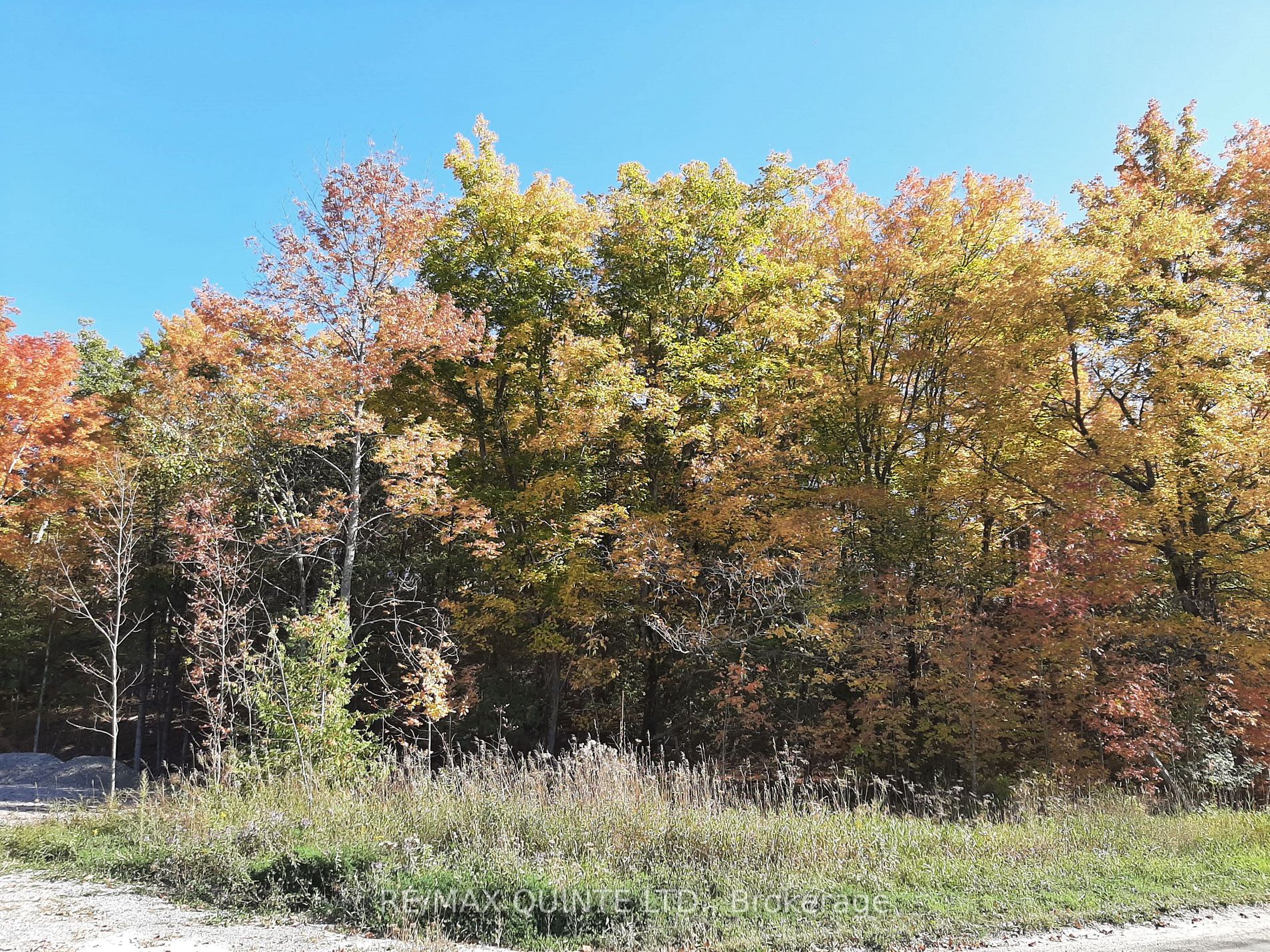 1532 O'hara Rd