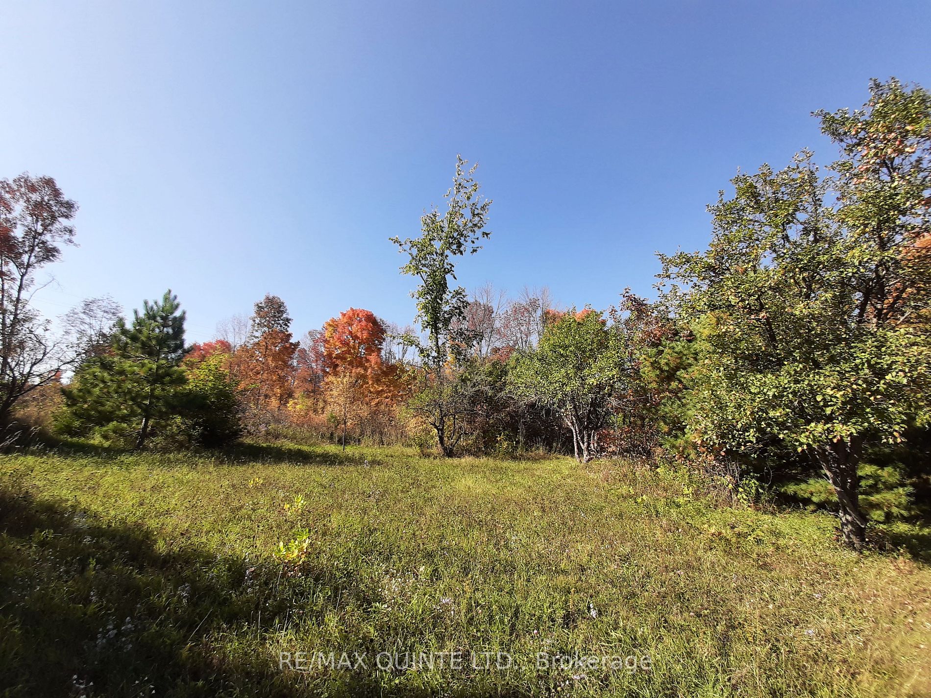 1532 O'hara Rd