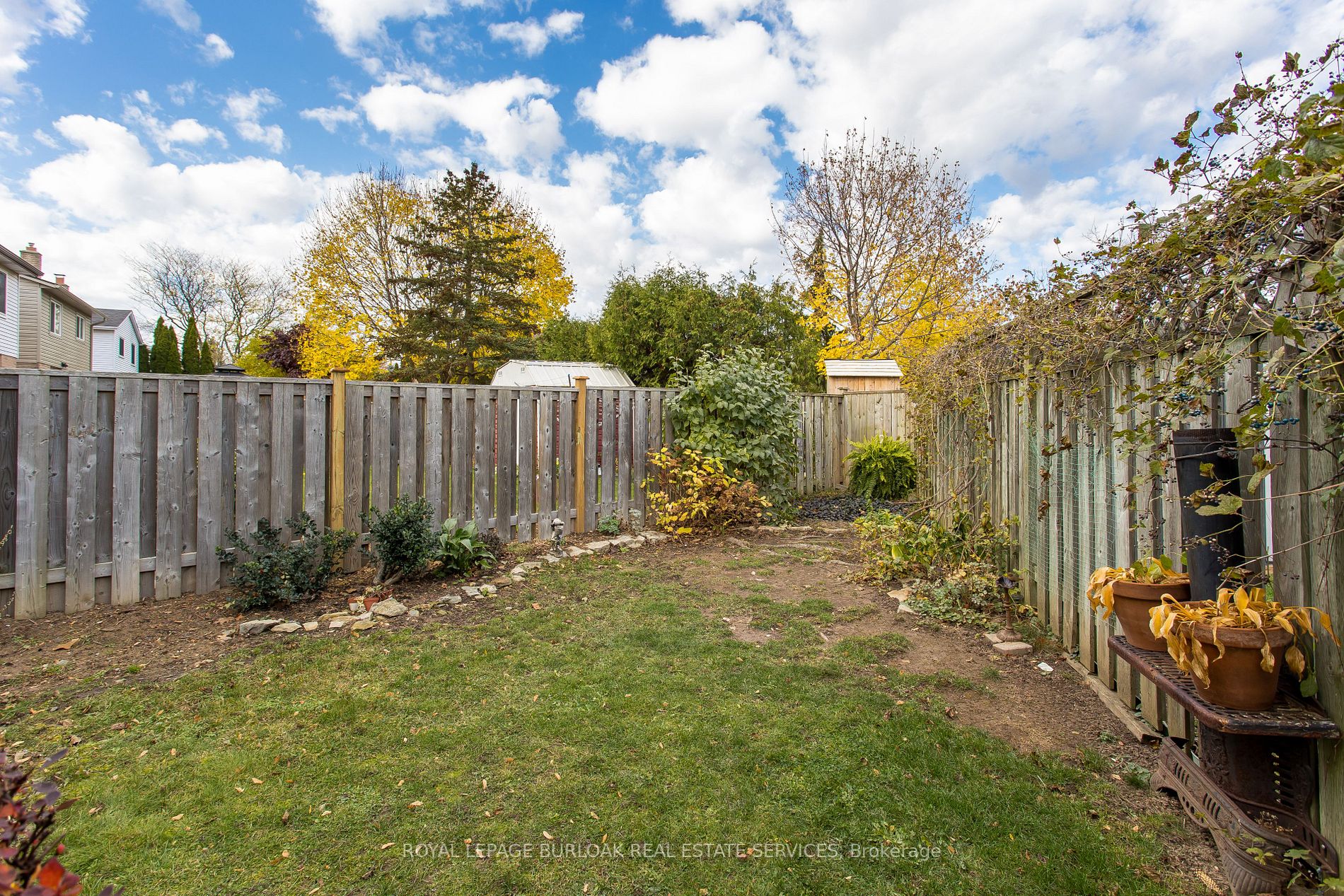135 Glenashton Dr