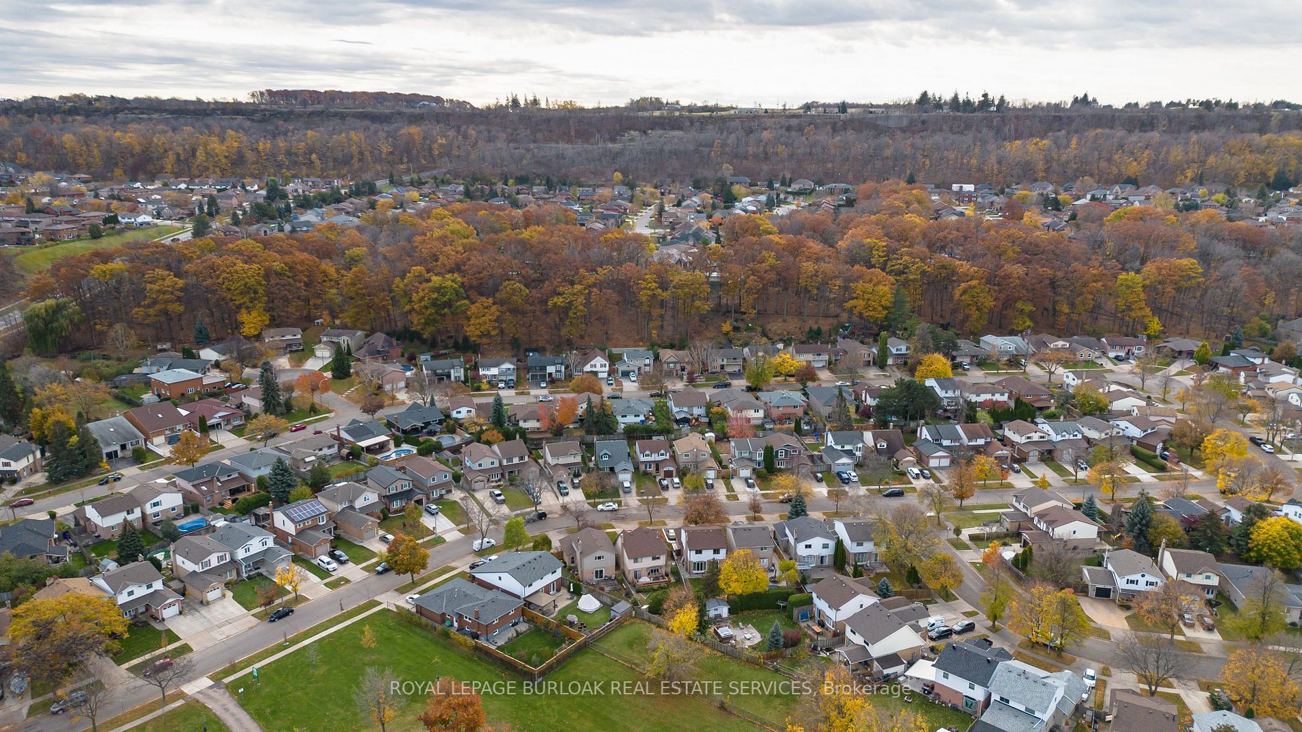 135 Glenashton Dr