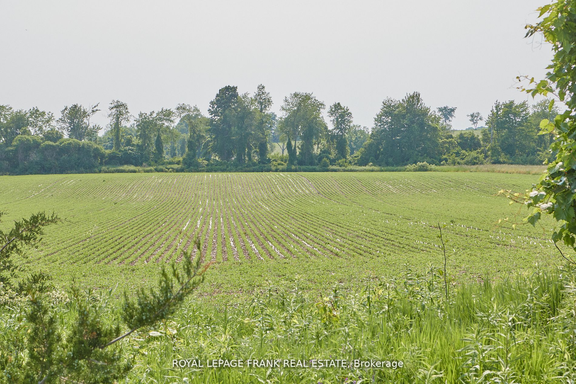 Lot 11 Leach Rd