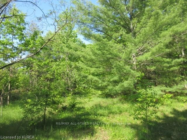 Lot 0 Highway 36