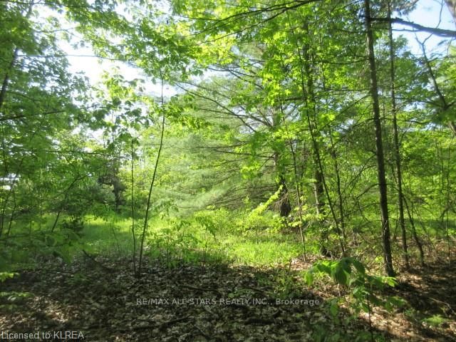 Lot 0 Highway 36