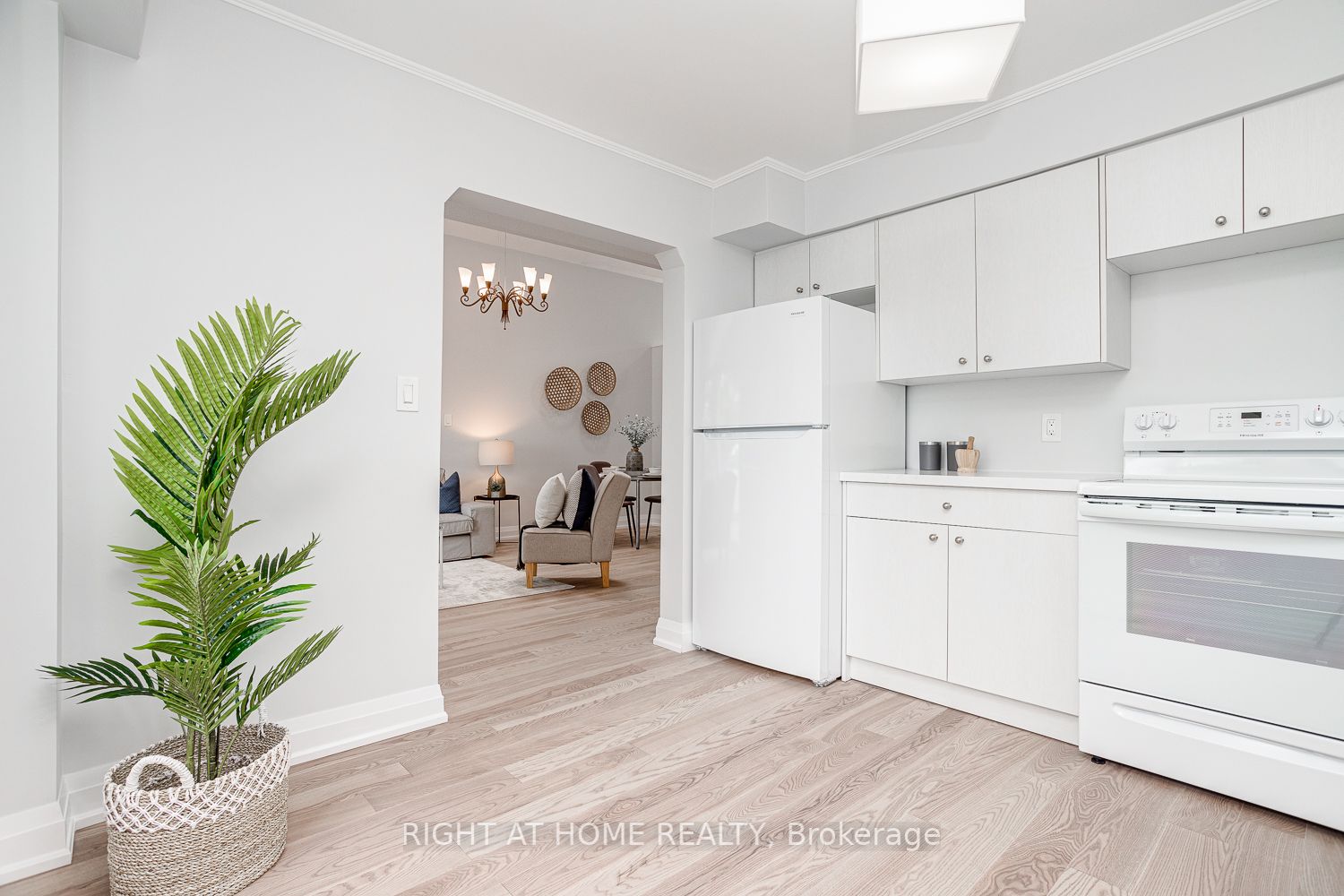 13 Mcgill Dr