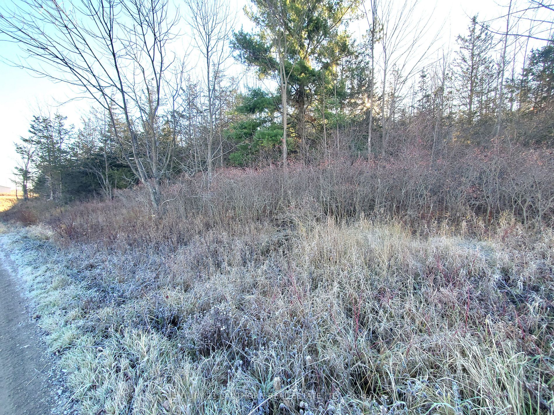 0 Devils Valley Rd