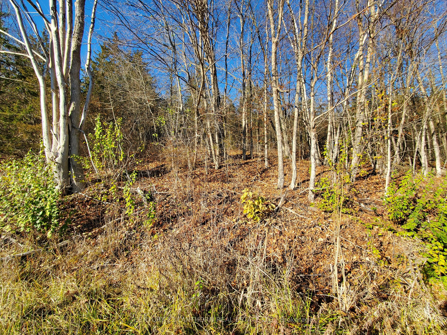 0 Devils Valley Rd