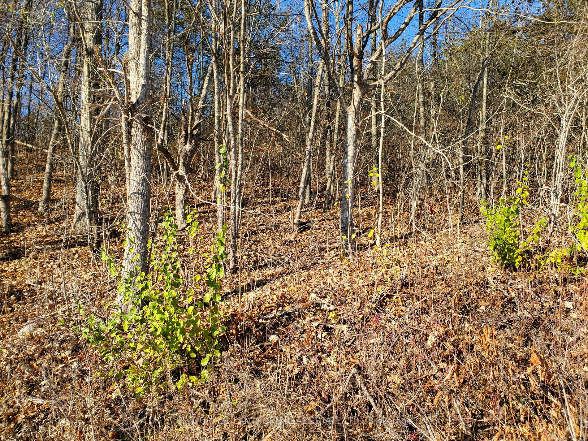0 Devils Valley Rd