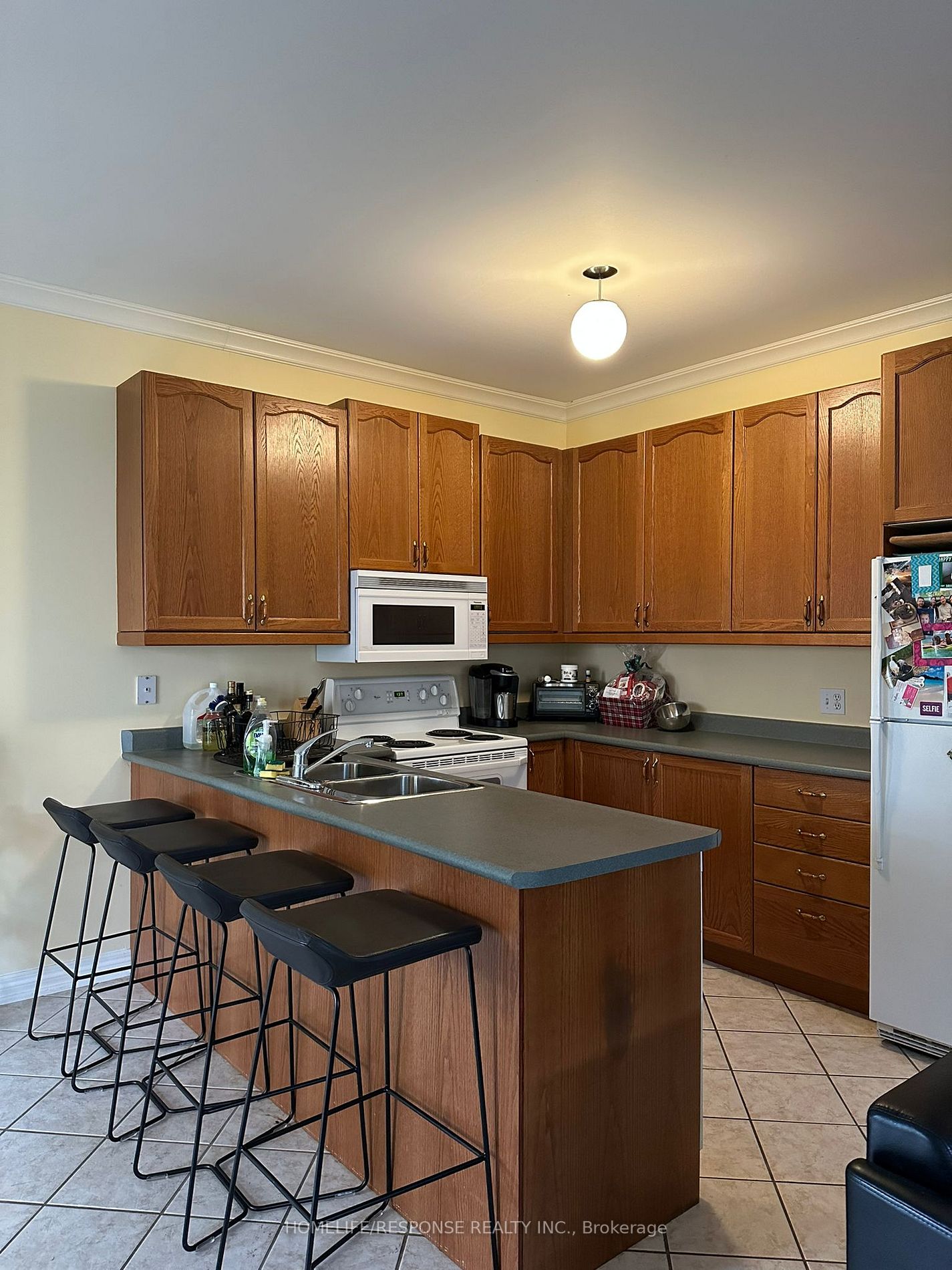 41 Northampton Blvd