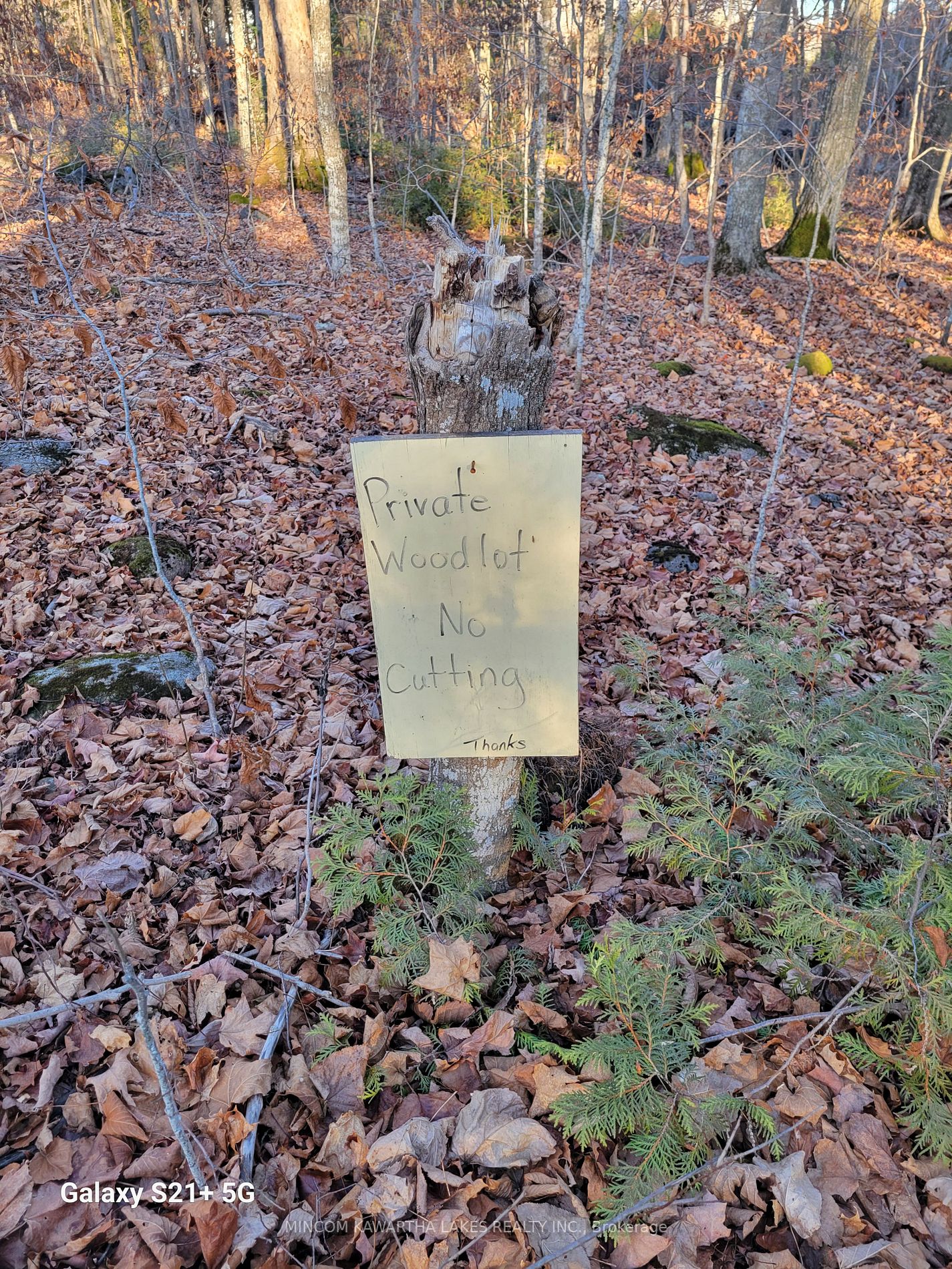 0 Rock Rd