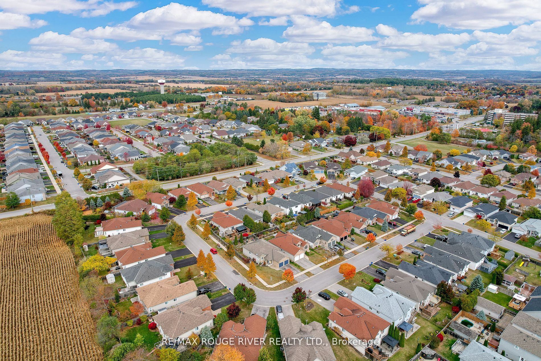 62 Jiggins Crt