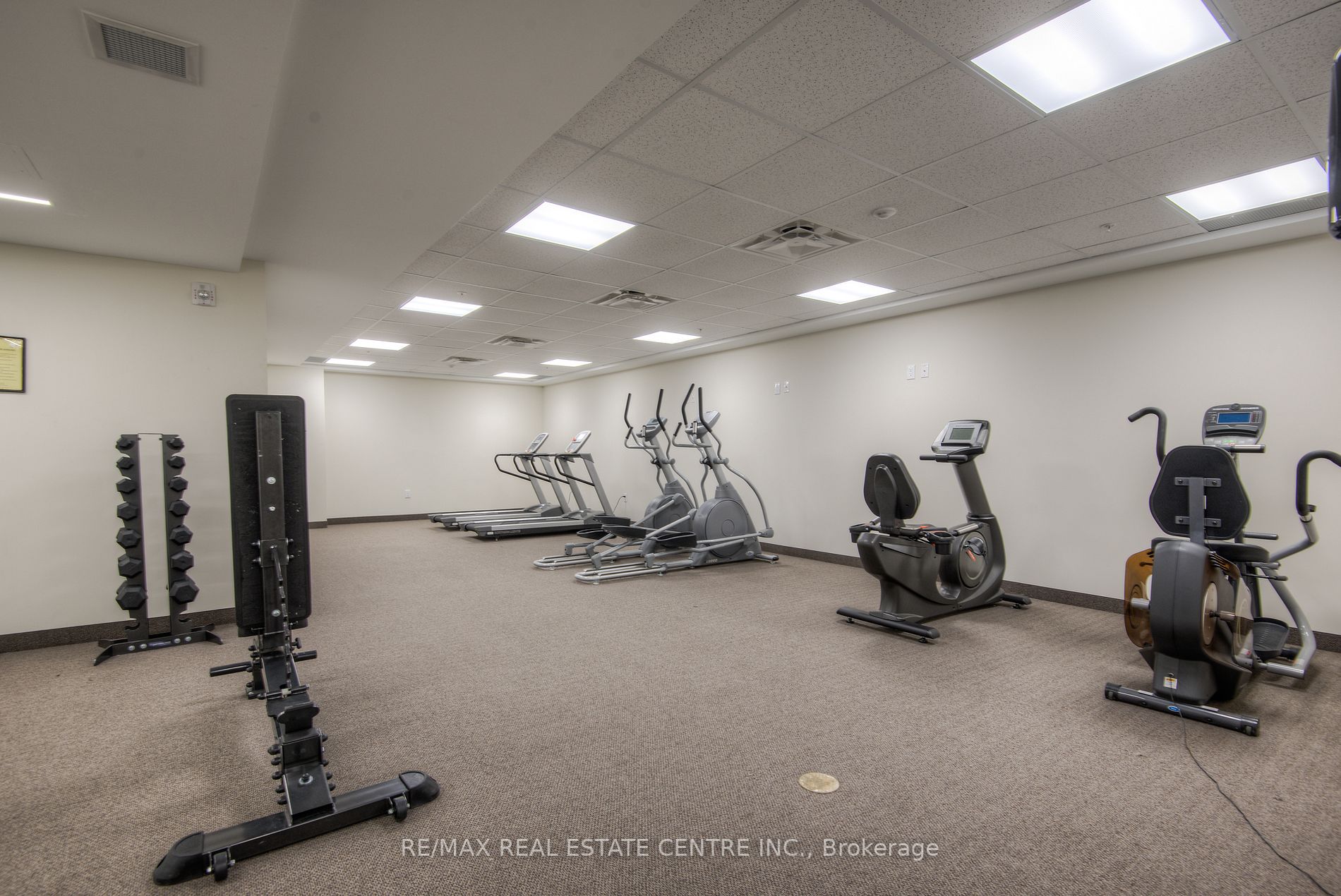 7 Kay Cres, #515