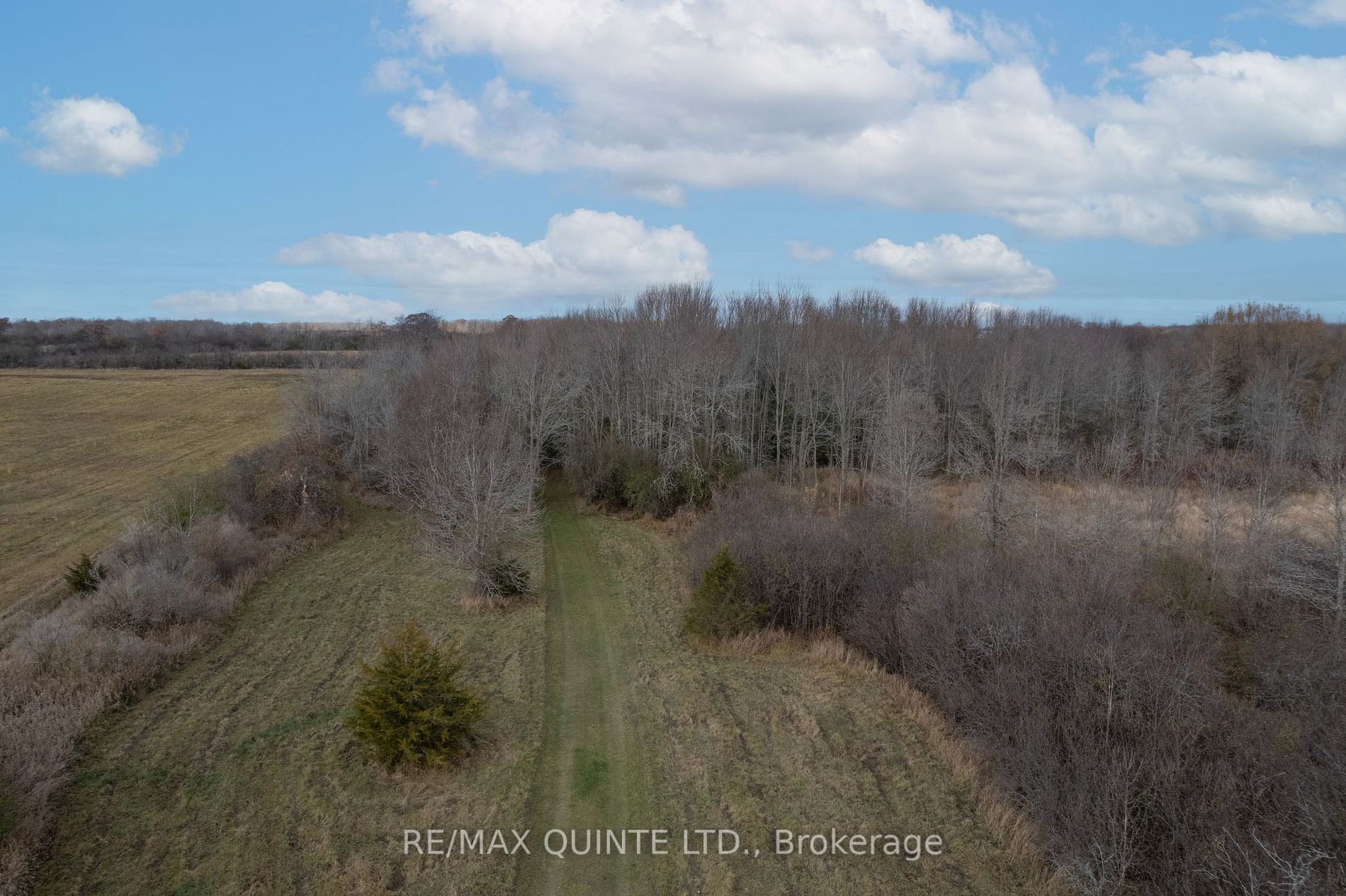 381 Partridge Hollow Rd