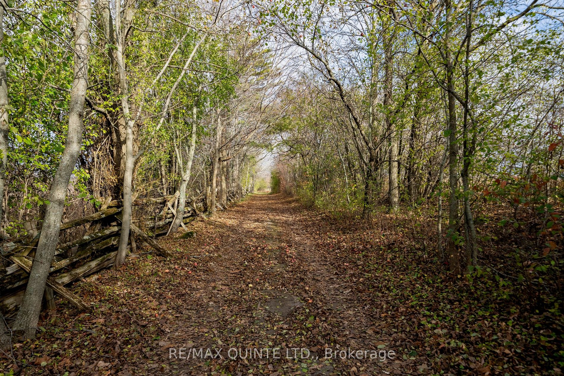 381 Partridge Hollow Rd