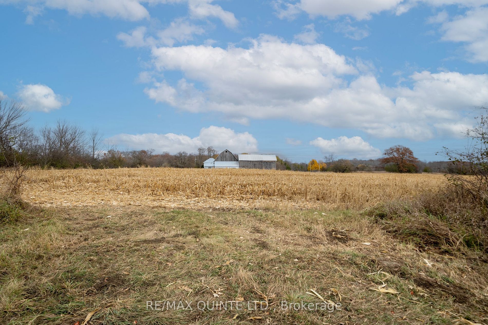 381 Partridge Hollow Rd