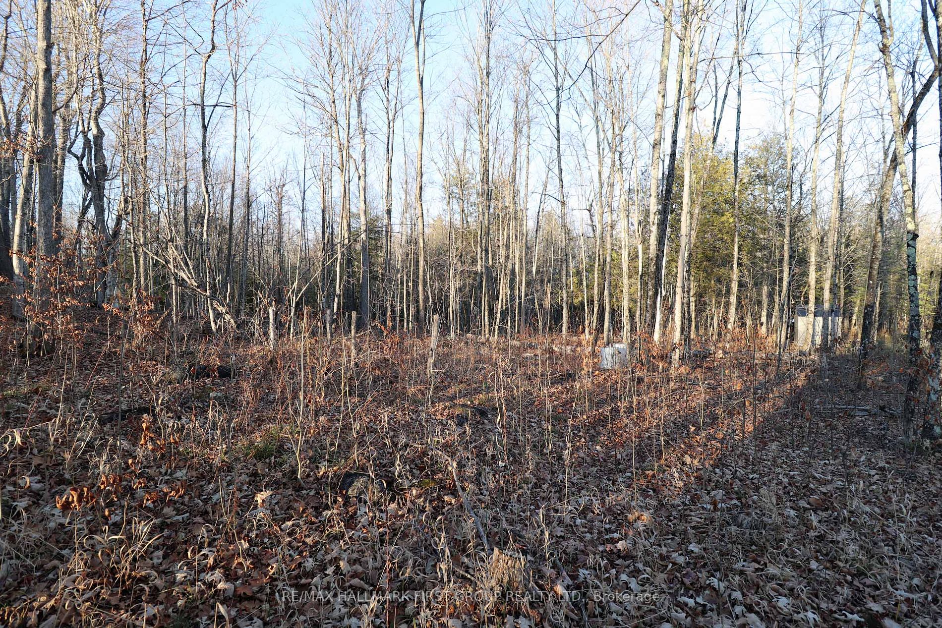 Lot 42 Maple St