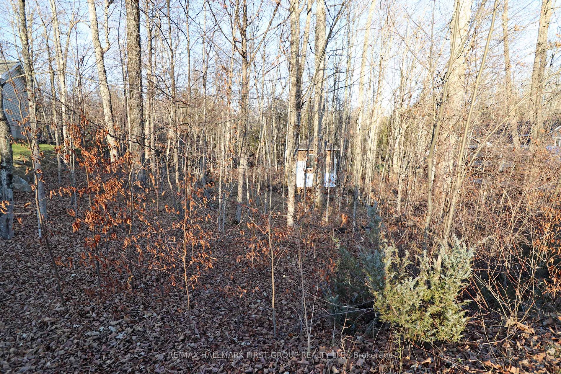 Lot 42 Maple St