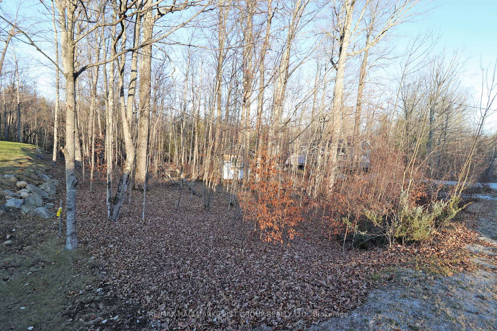 Lot 42 Maple St