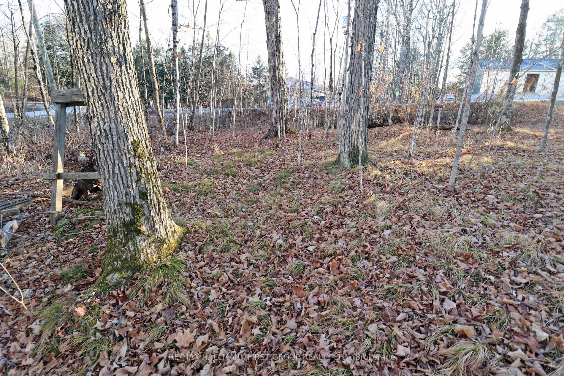 Lot 42 Maple St