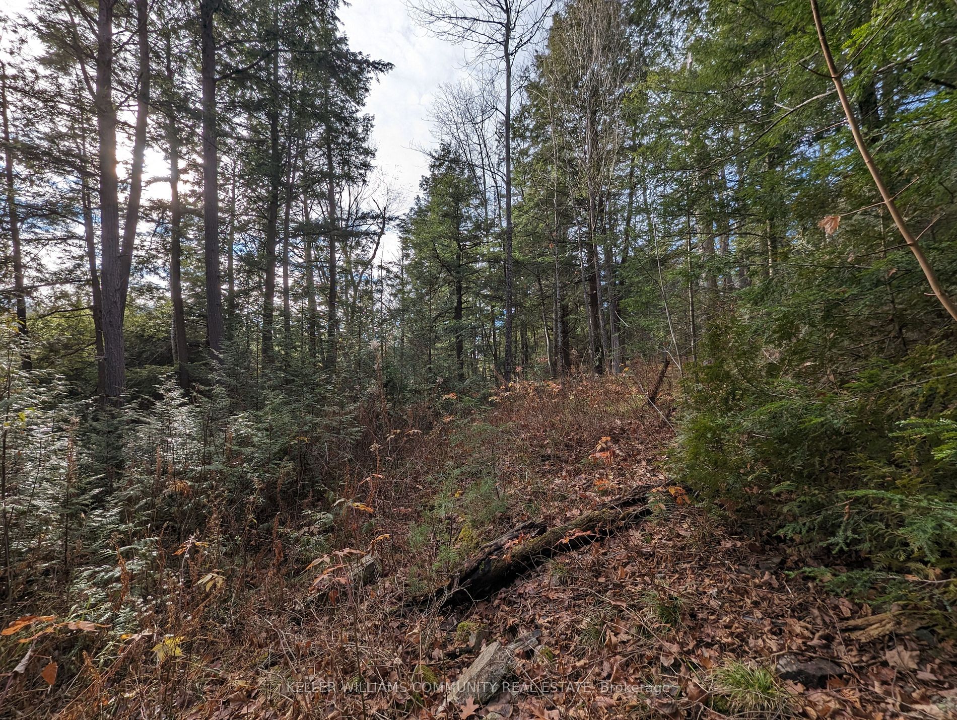 Lt19-20 Fire Route 67
