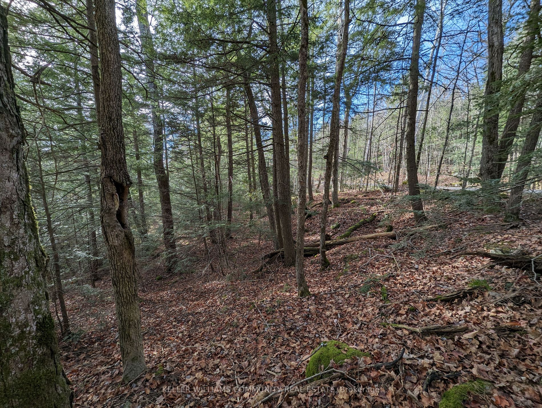 Lt19-20 Fire Route 67