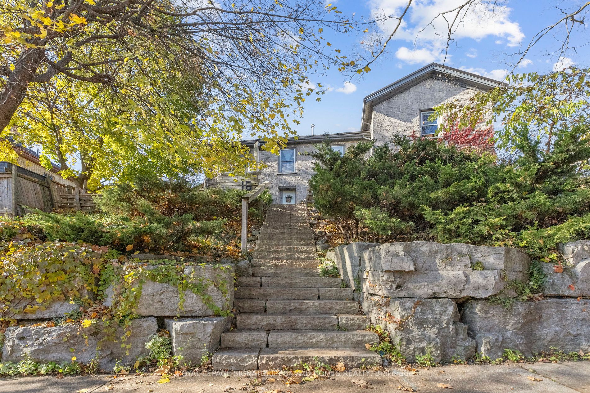 16 Ramore St