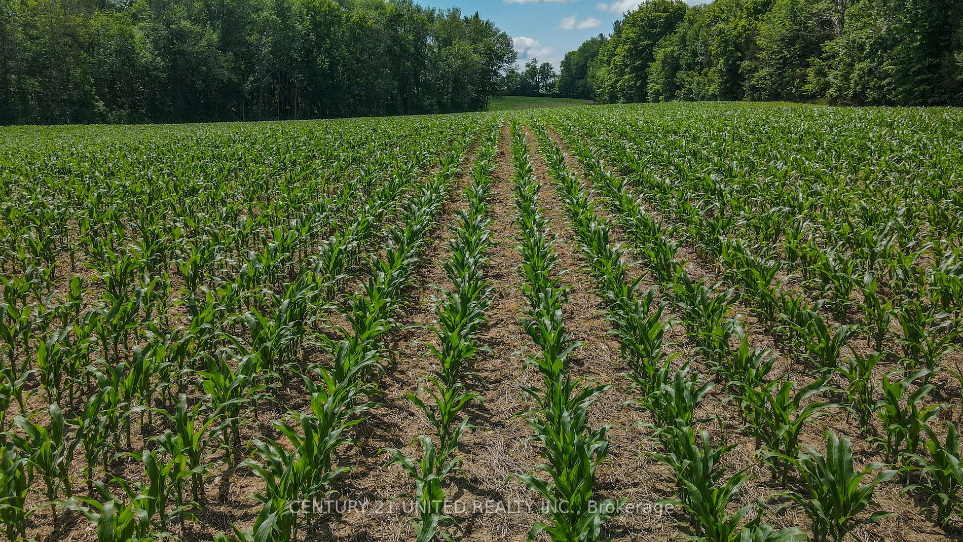 0 County Road 38