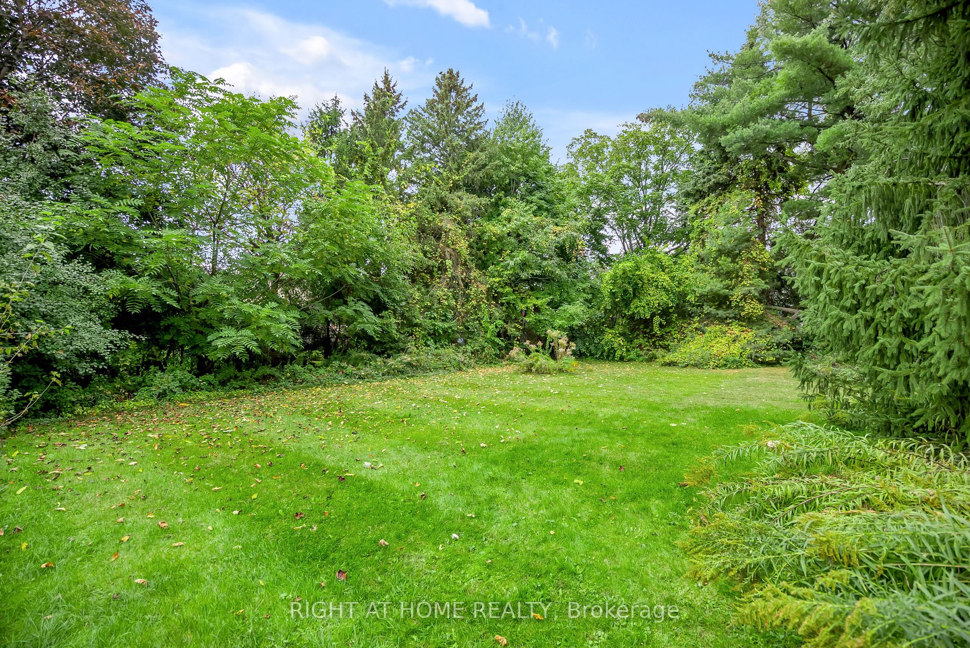 49 Thornwood Dr