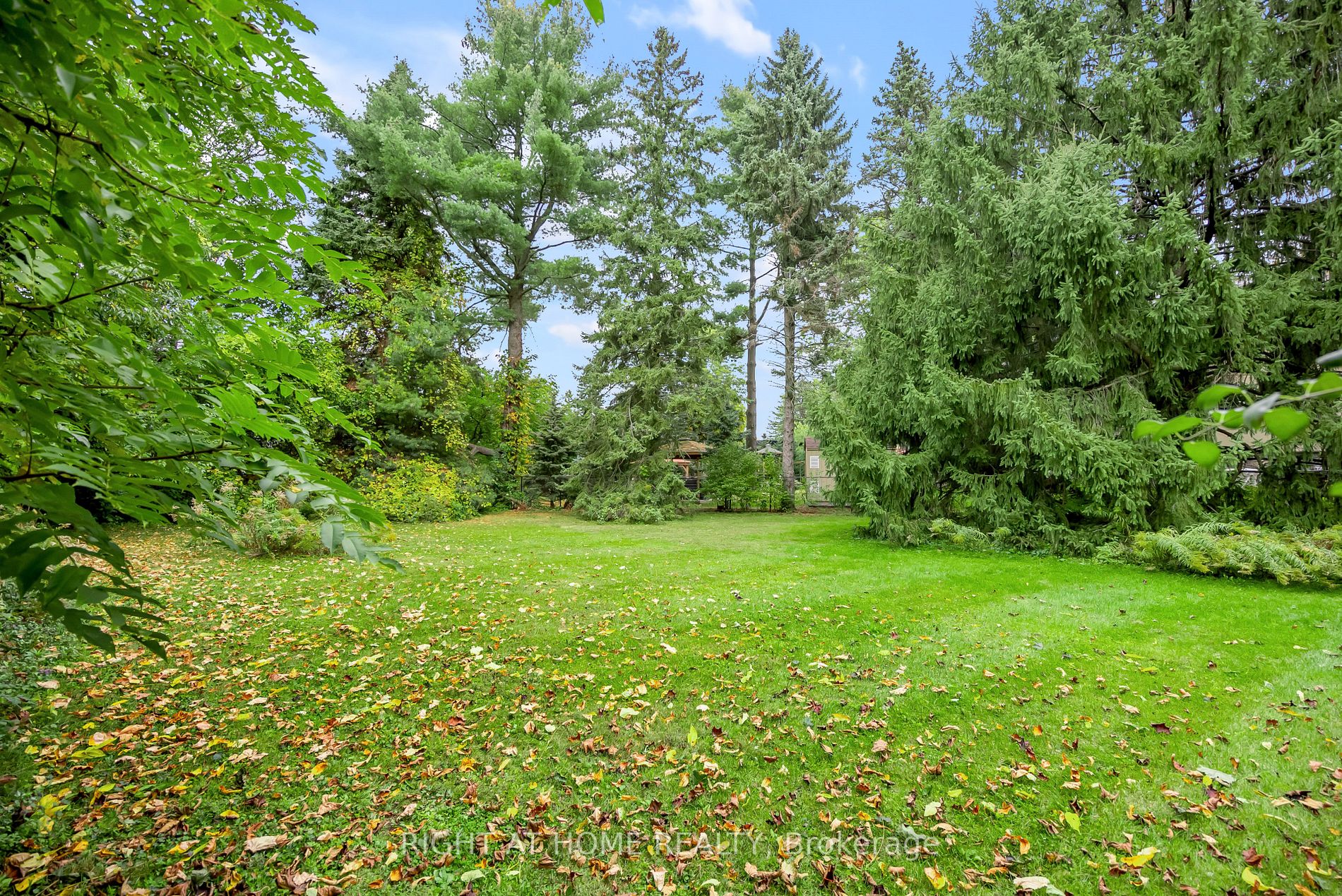 49 Thornwood Dr