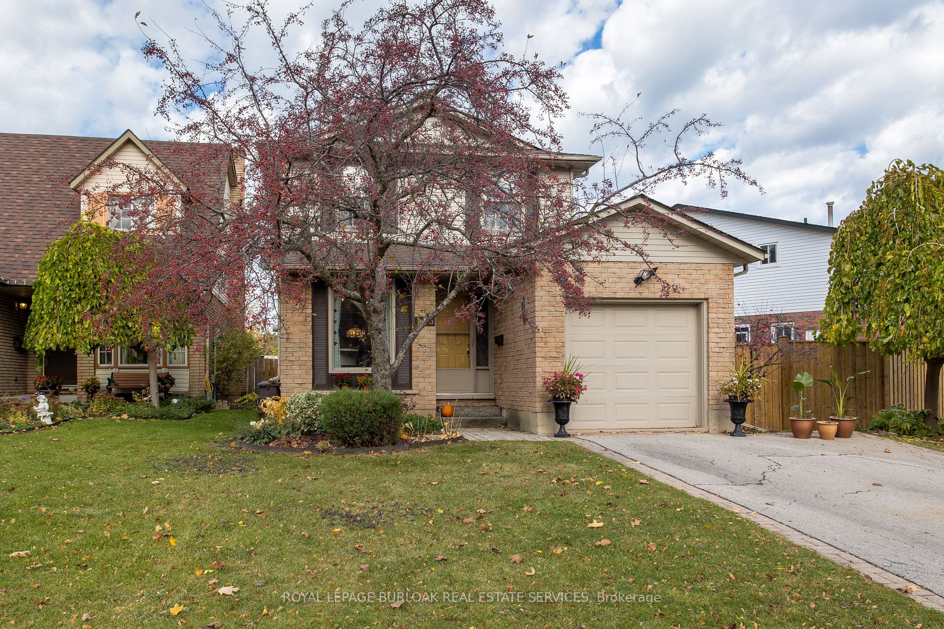 135 Glenashton Dr
