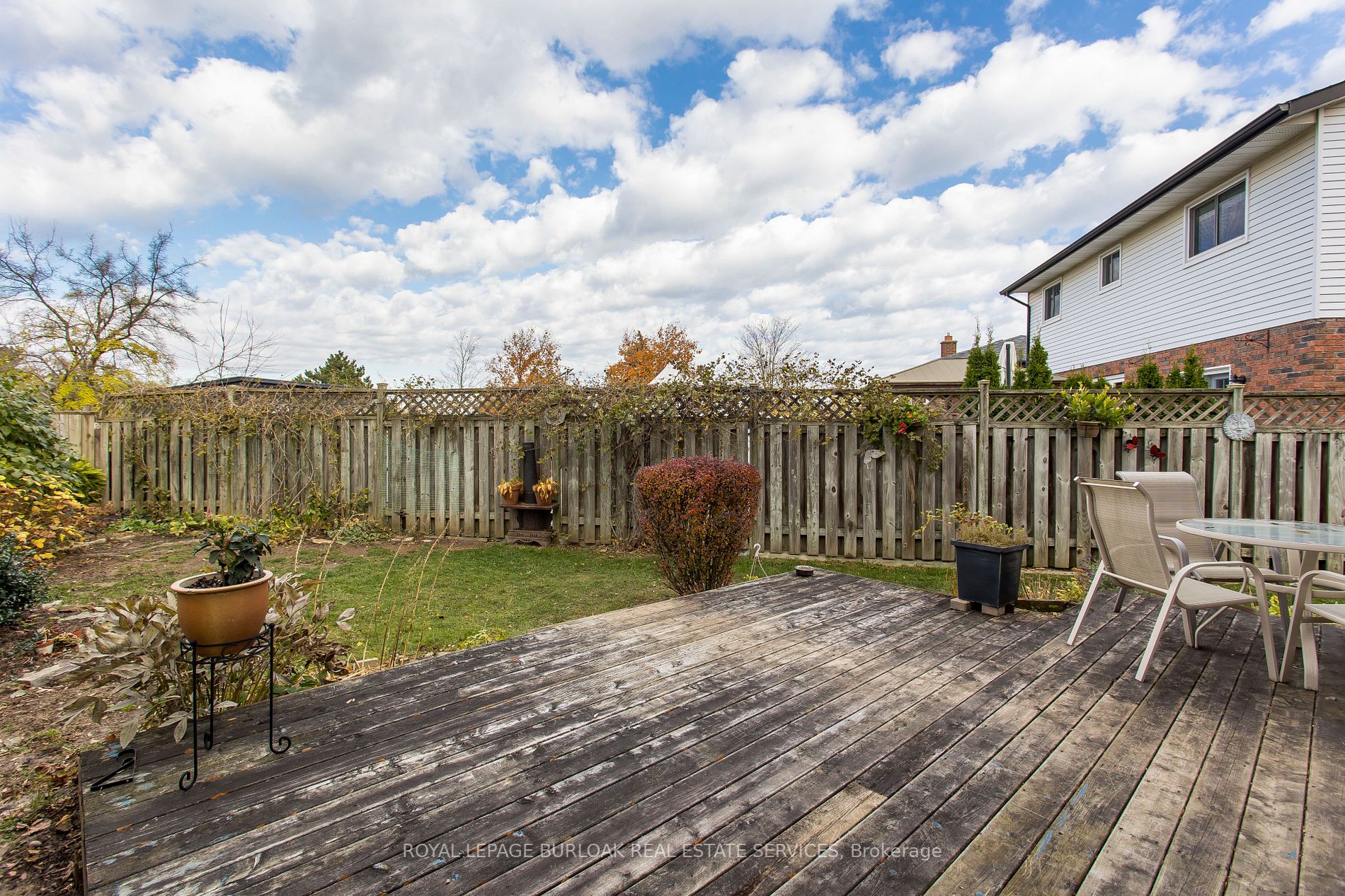 135 Glenashton Dr