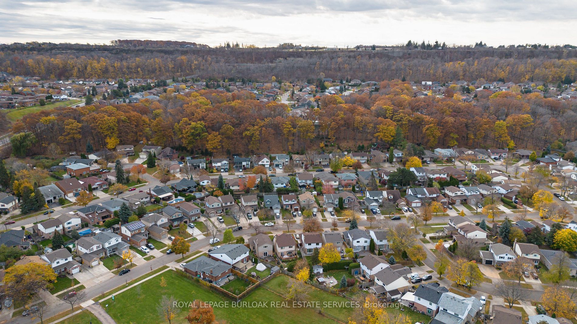 135 Glenashton Dr
