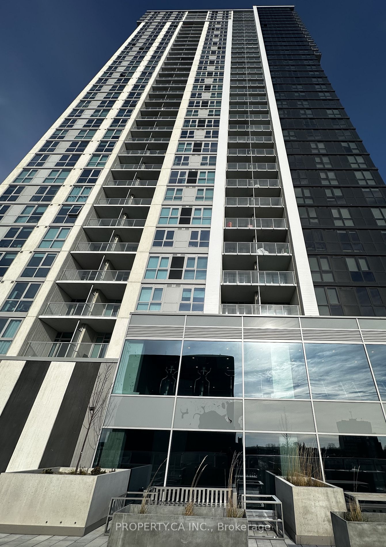 60 Frederick Street #3910