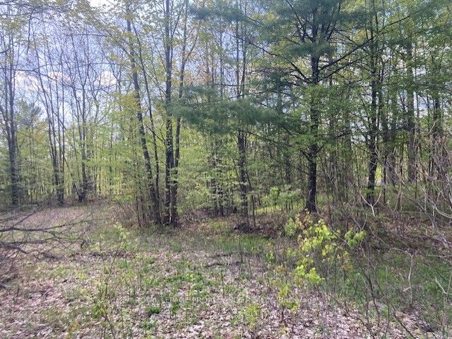 31 Glen Ridge Road