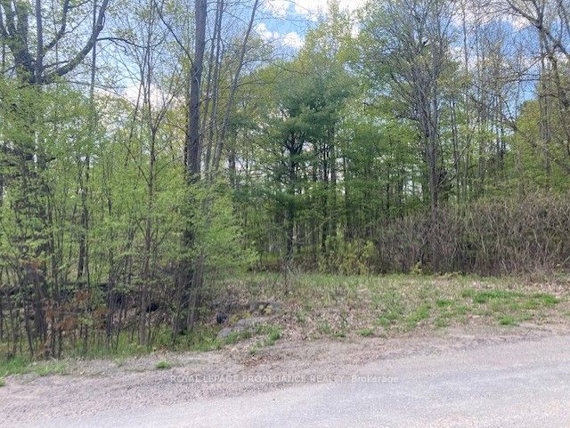31 Glen Ridge Road