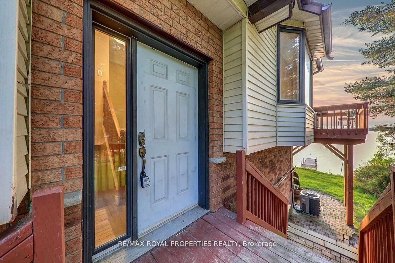 5 Mcgill Drive