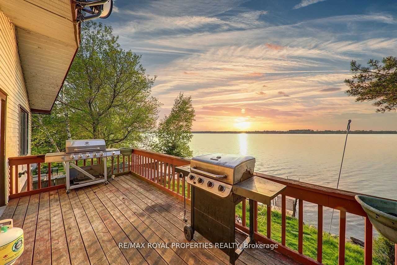 5 Mcgill Drive