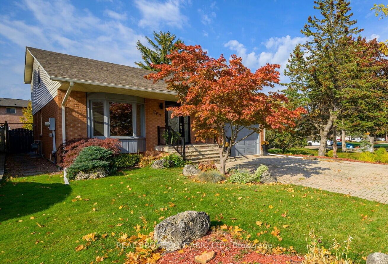 267 Fruitland Rd