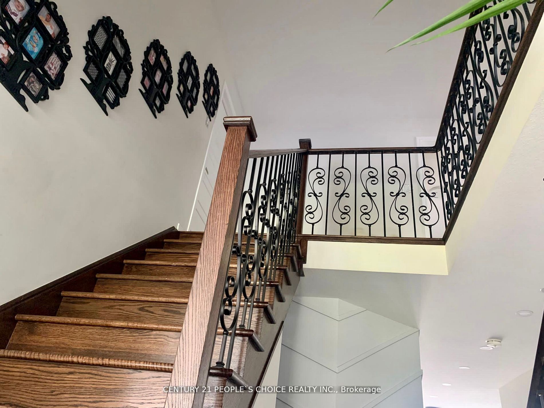 5 Burgess Cres