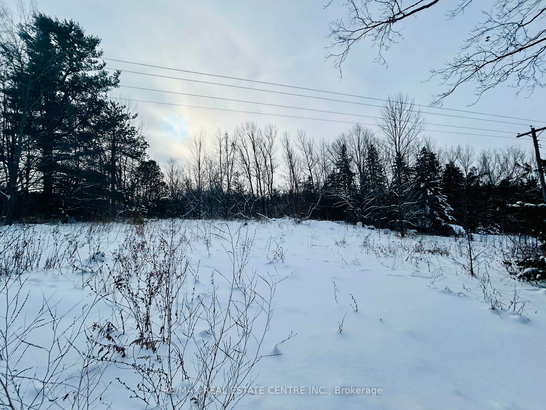 707066 County Rd 21 Rd