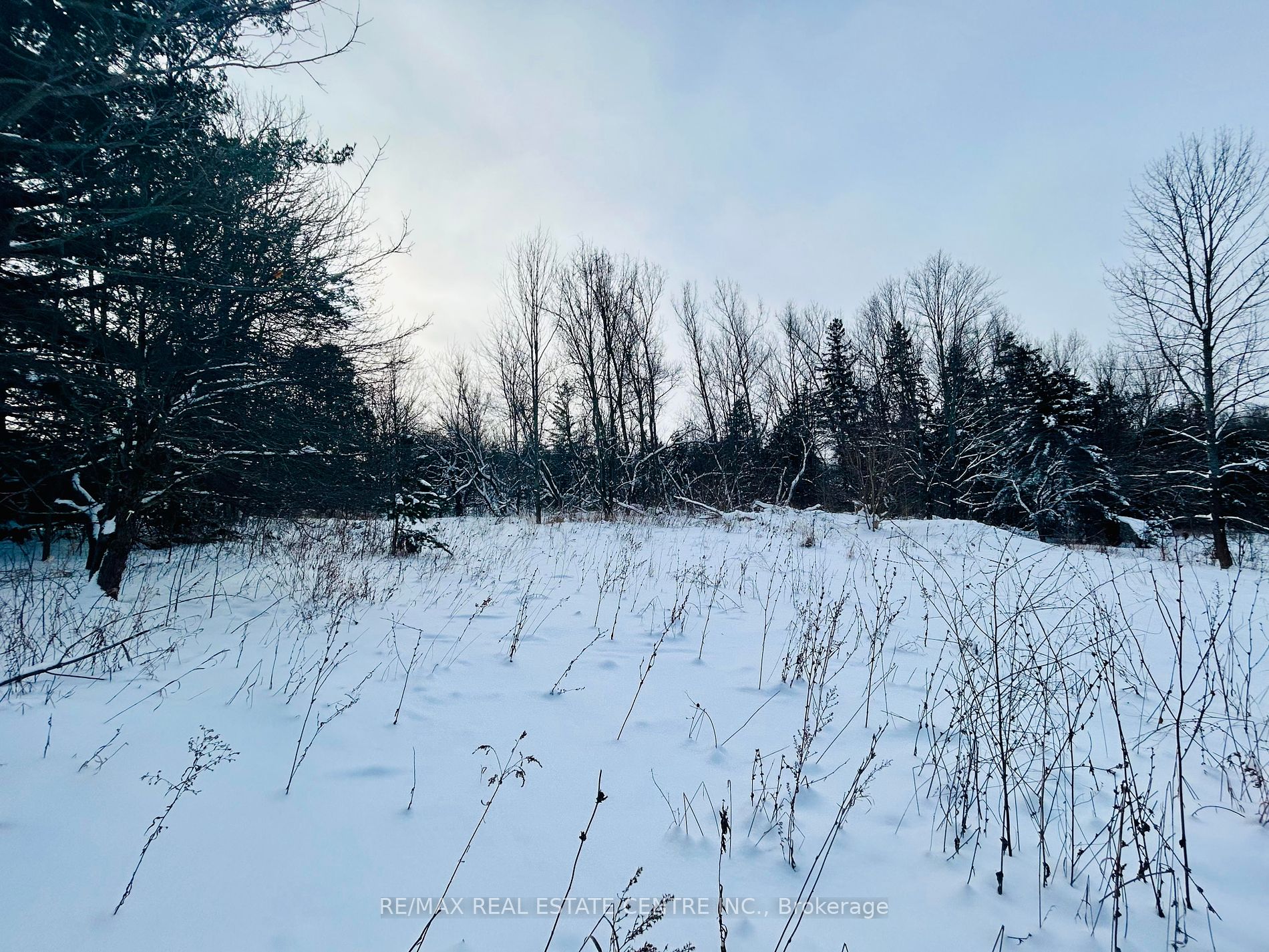 707066 County Rd 21 Rd
