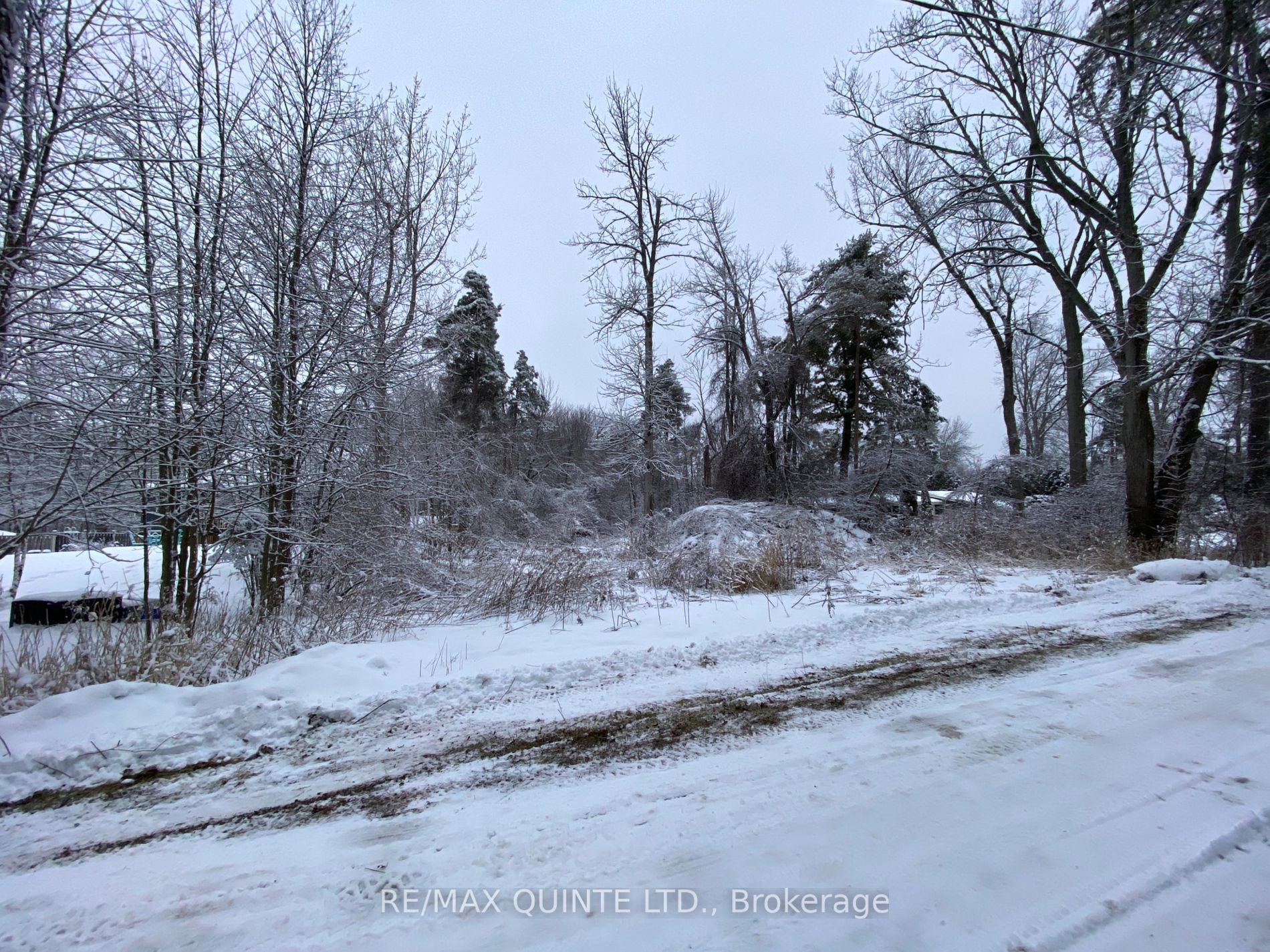 149 Evergreen Lane