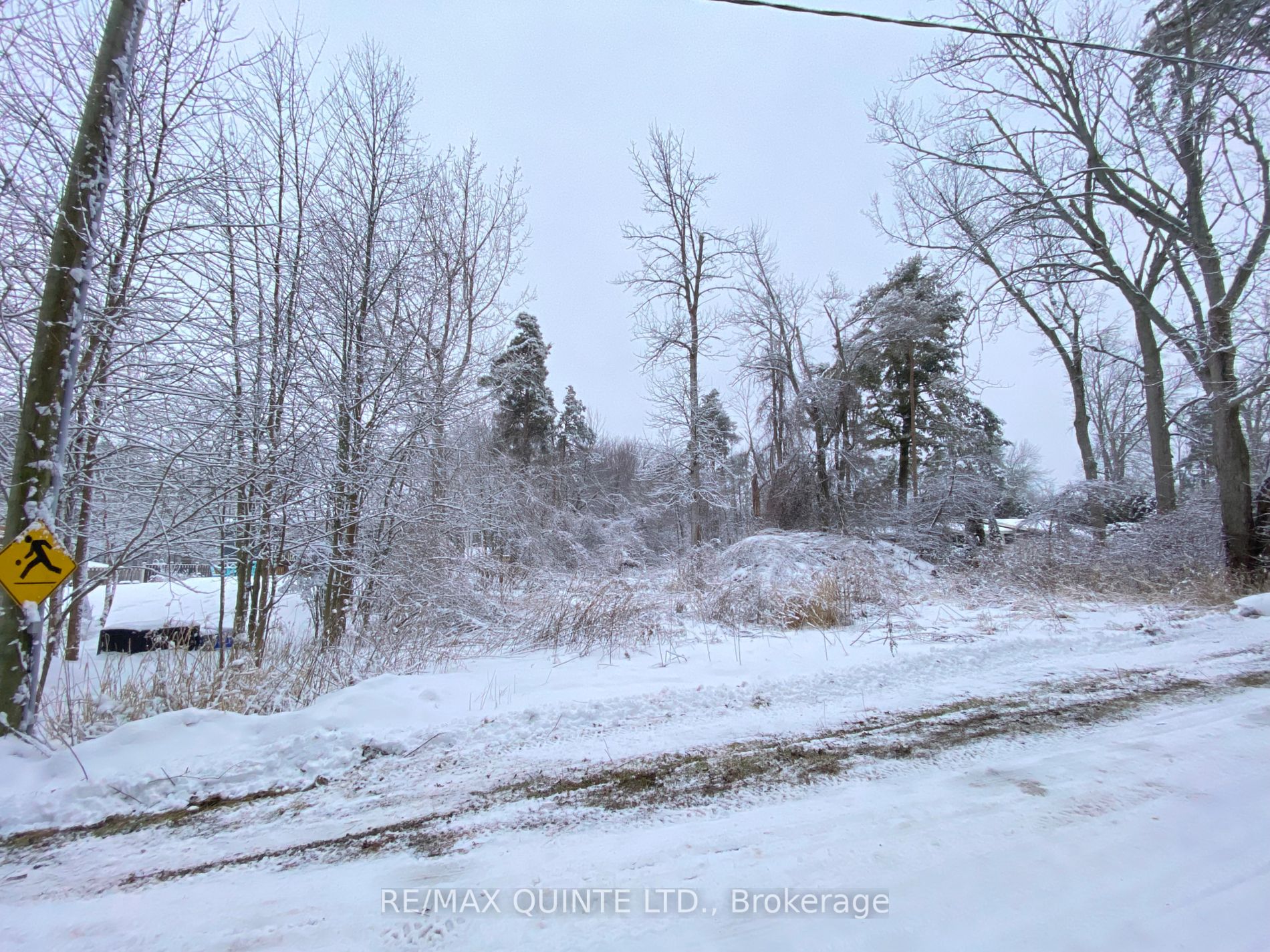 149 Evergreen Lane
