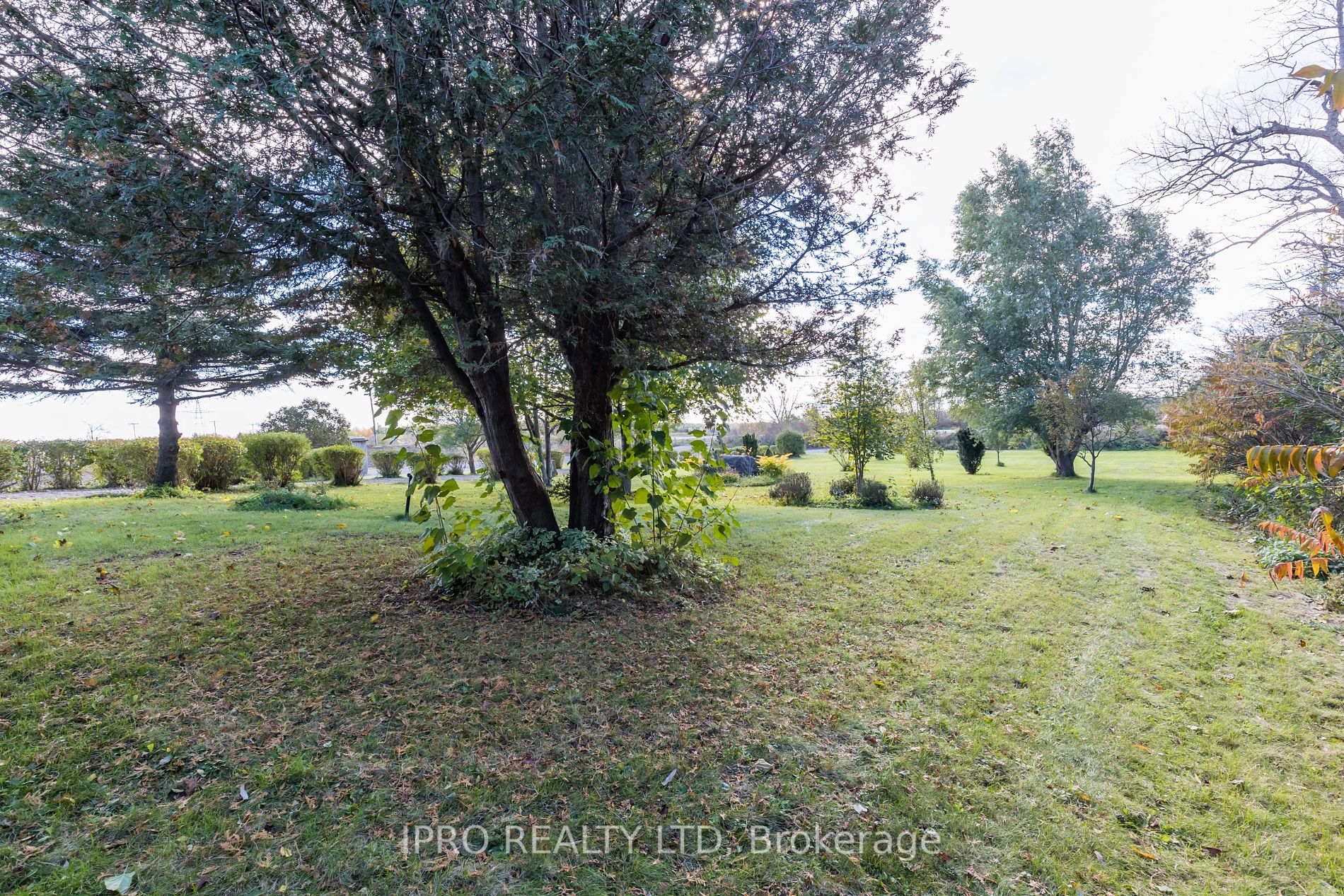 1718 Highway 6 Rd E