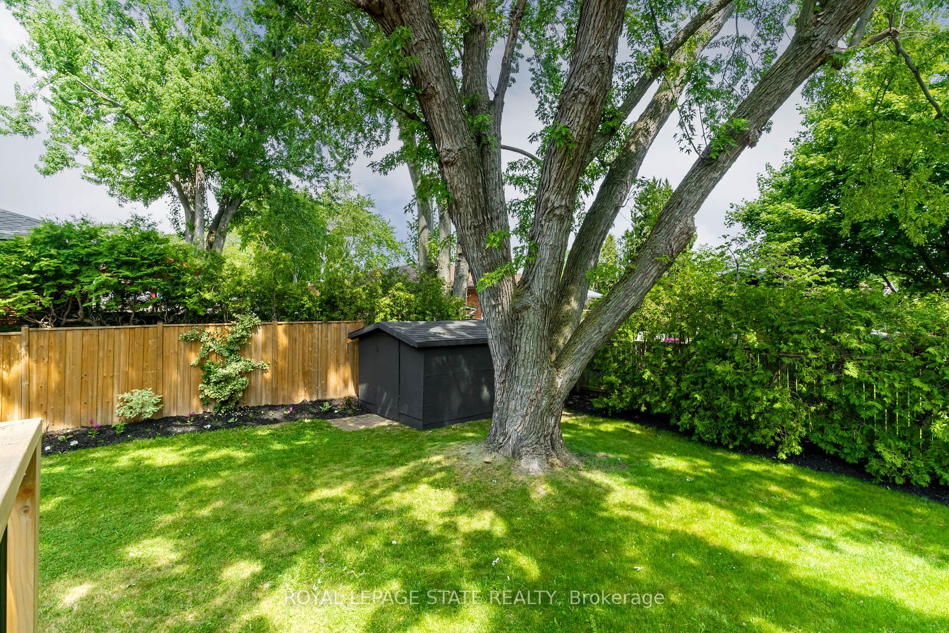 5 Gemma Crt